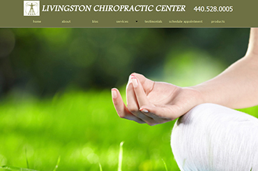 Livingston Chiro Group